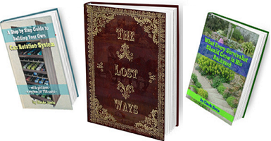 The Lost Ways Book