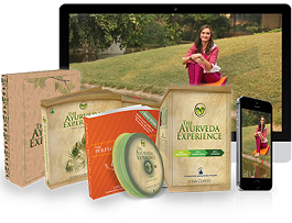 The Ayurveda Experience Program