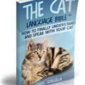 The Cat Language Bible