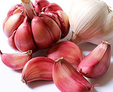 Natural Healing Plants And Herbs