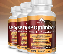 BP Optimizer